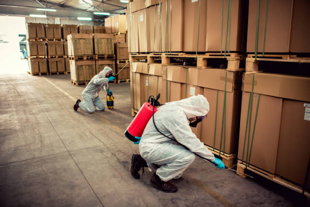 Best Emergency Pest Control  in Faison, NC
