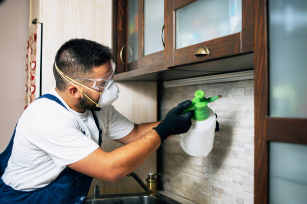 Insect Control in Faison, NC