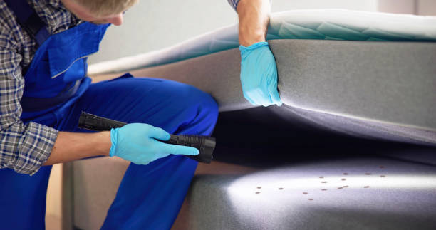 Best Residential Pest Control  in Faison, NC