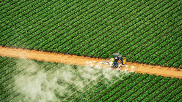 Best Pest Inspection Near Me  in Faison, NC