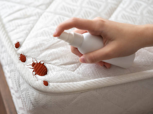 Best Pest Removal Services  in Faison, NC