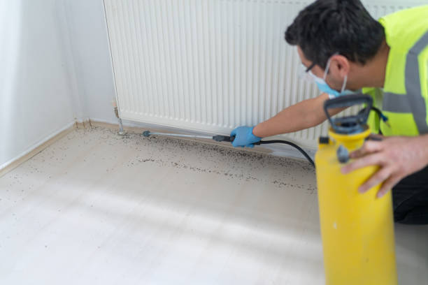 Best Pest Control for Restaurants  in Faison, NC