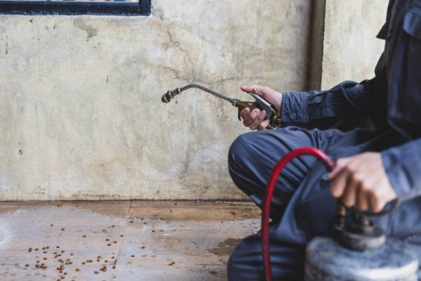 Best Local Pest Control Services  in Faison, NC
